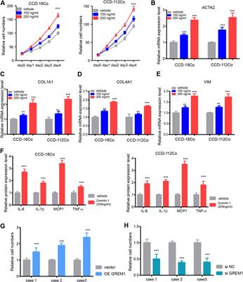 Frontiers | Targeting Gremlin 1 Prevents Intestinal Fibrosis